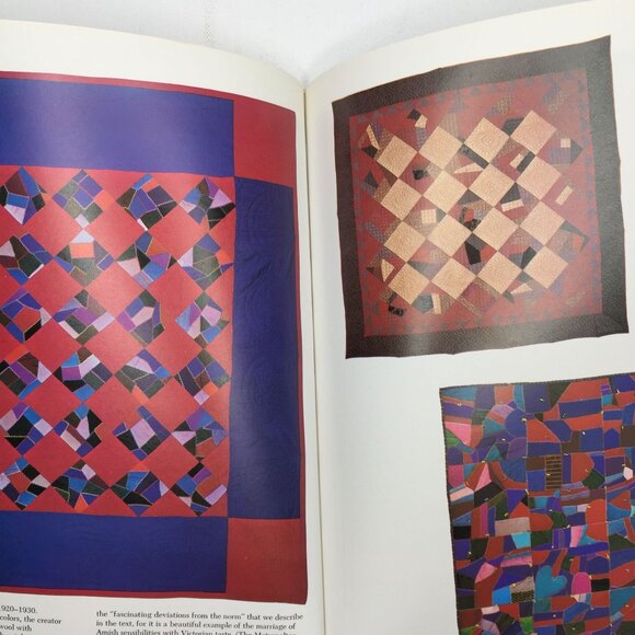 A Gallery Of Amish Quilts Robert Bishop Safanda Quilting Book Pictures - Picture 10 of 14